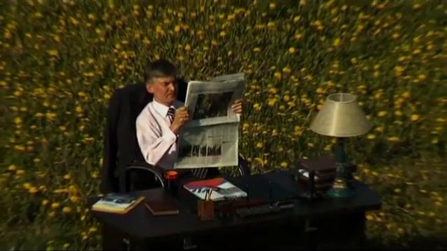 сегмент владимир хороший офис_поле.mpg