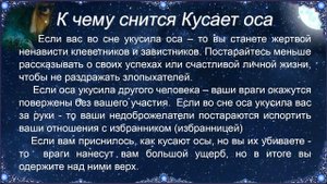 К чему снится Кусает оса – толкование сна по Соннику