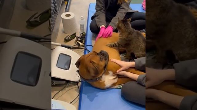 Лучший специалист смотреть онлайн