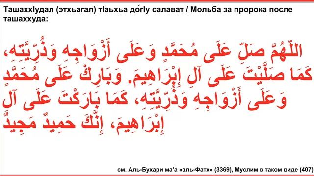 23. ТашаххIудал (этхьигал) тIаьхьа до́гIу салават / Мольба за пророка после ташаххуда (54) смотреть онлайн