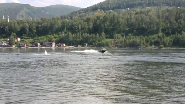 Fish 420 TUGUN смотреть онлайн