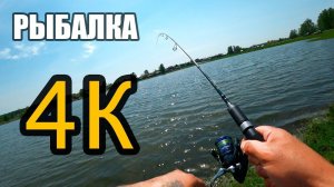 Нано окунь на ультралайт в 4К. Рыбалка в Новосибирске!