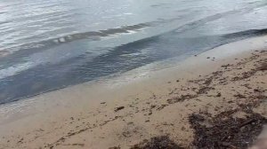 АСМР гипноз|плеск волн|шум моря|ASMR hypnosis | lapping waves | sound of the sea