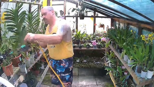 #Orchid watching routine 🌧 смотреть онлайн