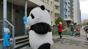 ✌Ты и я - мы с тобой друзья 🐼🔥