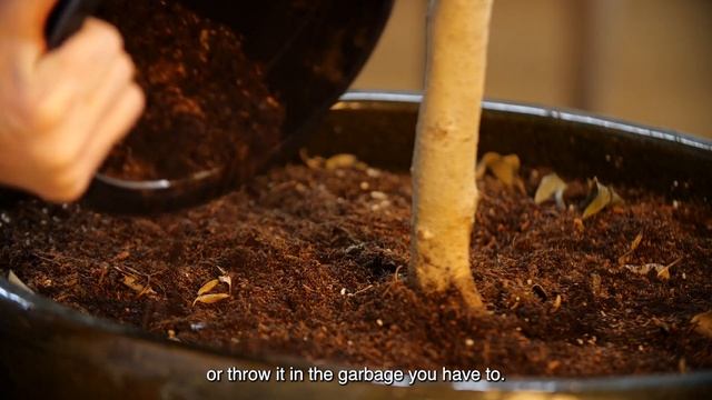 Lomi Food & Waste Composter | MoMA Design Store смотреть онлайн