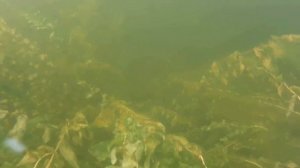 Дикие реки Якутии (р. Нюя район деревни чамча)