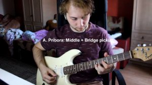 Pickups comparison: Squier Bullet vs Alexander Pribora Voodoo