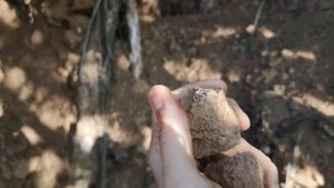 Очень интересное видео в глубине добычи глины "Корешок" и радостная новость-её оказалось не мало!01