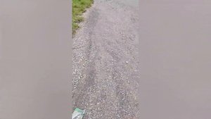 китайский монокуляр ночного видения (бюджетный)