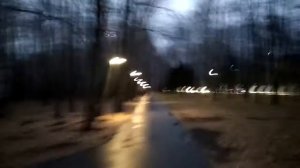 Ирина Бутримова. Горят ночные фонари.