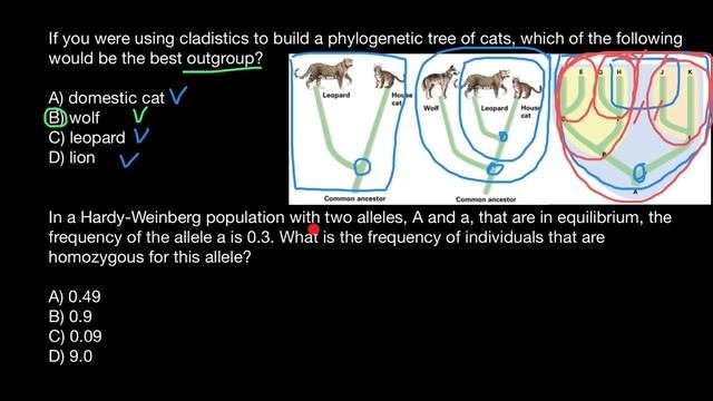 What Is The Clade And Outgroup
