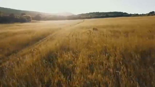 Декларация самоопределения Русского Народа