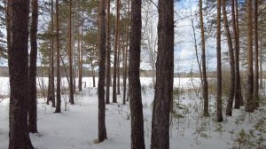 Прогулка наводит на размышления