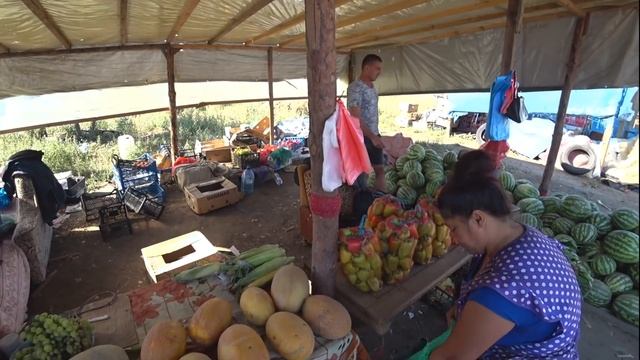 Дешевле чем на ПРИВОЗЕ - Фермерский Рынок под Одессой! Цены на фрукты и овощи! Одесса Украина смотреть онлайн