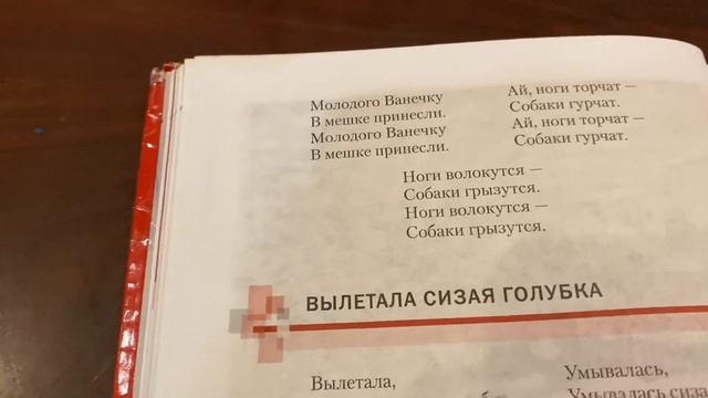 Литература/7 кл/Говорили сваты на конях будут/песни свадебные/15.09.21 смотреть онлайн