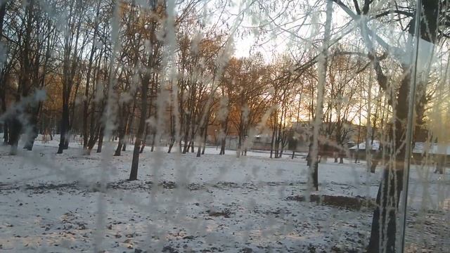 Парк, морозное утро  Иней на стекле