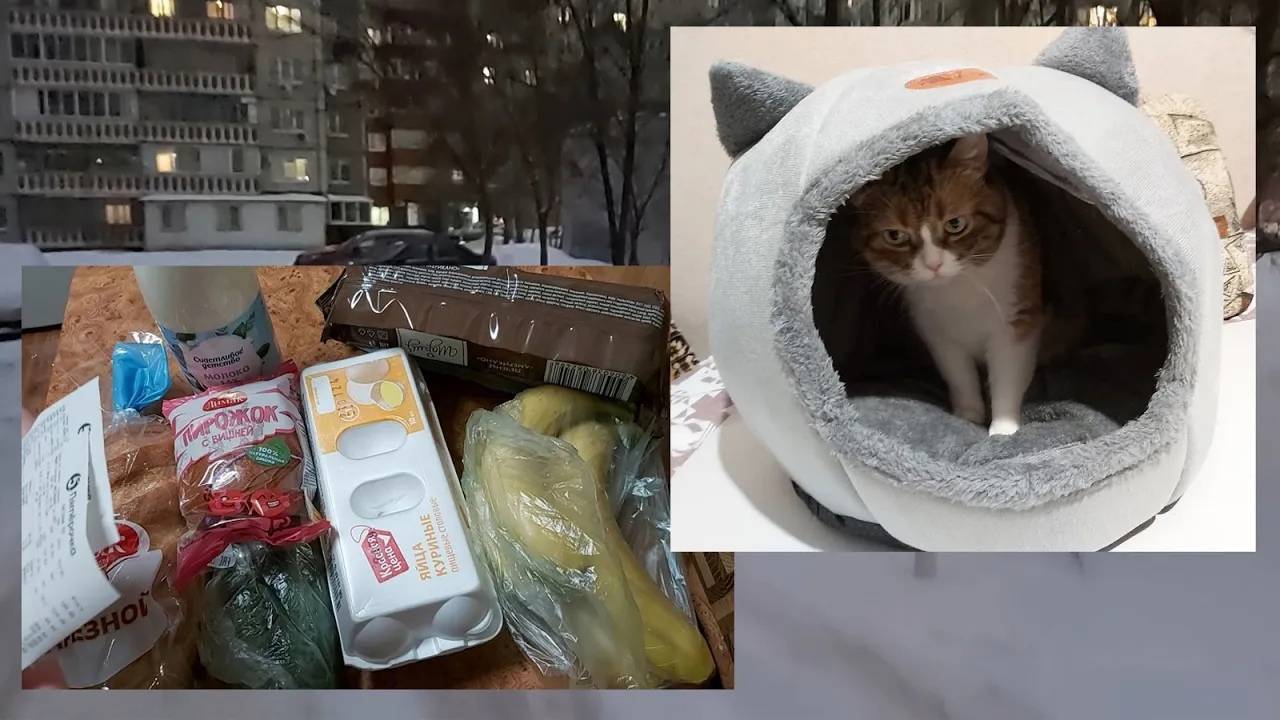 У Сони свой домик! Любимый кофе!))) Отменила ярмарки, занимаюсь хозяйством. Работаю!