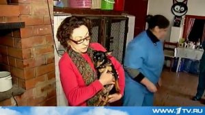 В Волгограде закрывают приют для животных!