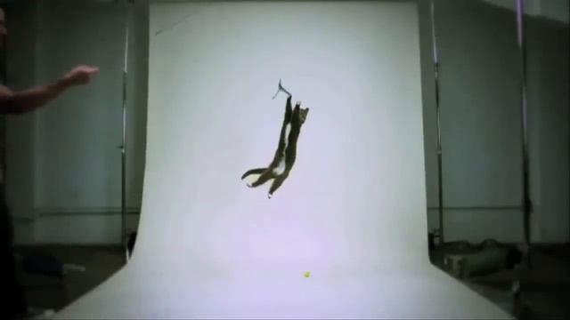 Petreet. Ты тоже так можешь! смотреть онлайн