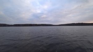 Рыбалка на спиннинг 2020. CRAZY FISH Arion 7-28 спиннинг на судака