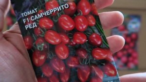 ТОМАТЫ САМЧЕРРИТО ? ? ? Обзор супер новинок СеДеК @agrocompany_sedek