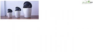 Как Выбрать Пластиковый Горшок ✔️ Цветочные горшки с Автополивом