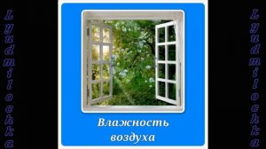 Хавортия. Уход в домашних условиях