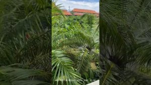 Отель на Бали The Westin resort Nusa Dua 27.02