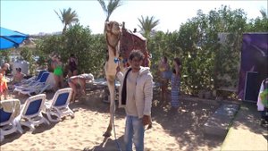 ВЕСЕЛЫЙ НОВЫЙ ГОД в ЕГИПТЕ!!!