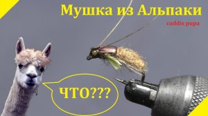 Мушка на хариуса и ленка. Caddis pupa. мушка из альпаки