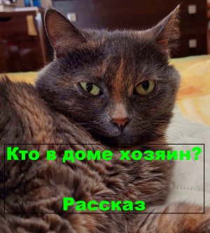 Кто в доме хозяин? Рассказ