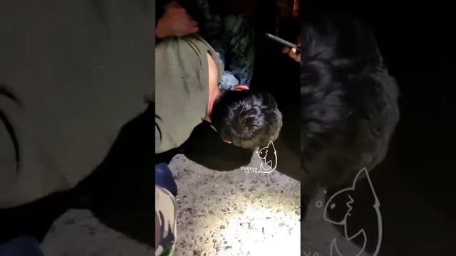 ‼⚡Кадры задержания и допроса одного из террористов⚡