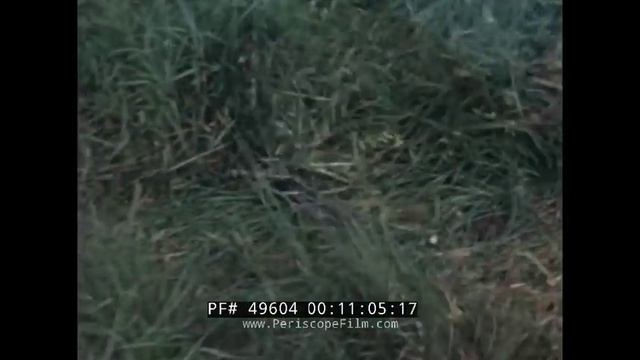 ETHYL CORPORATION 1940s FARM MACHINERY & INDUSTRIAL FARMING FILM "PATTERN FOR PROGRESS" 49604 смотреть онлайн