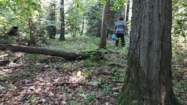 ТИХАЯ ОХОТА С ПОМОЩЬЮ РОТВЕЙЛЕРА.Воспитание и дрессировка