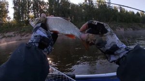 Рыбалка на Вятке, под Советском, 23-25.07.2021г.