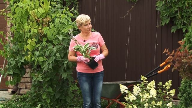 Красивая клумба перед домом. Своими руками. смотреть онлайн