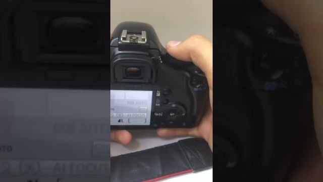 Фотоаппарат Canon 450D смотреть онлайн