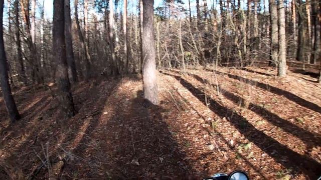 Январь / Мотоснзон продолжается / Мотопоход в лес / Bajaj Boxer 150 x смотреть онлайн