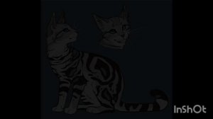 InShot_20240909_095639128.mp4