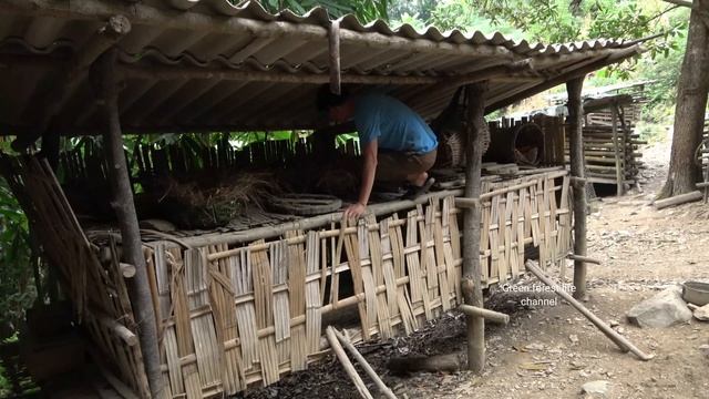 Harvest eggs. Make nest for chickens. Come visit mom. Green forest life смотреть онлайн