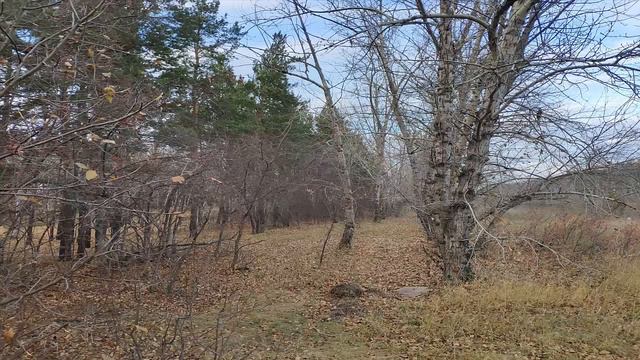 Любимая пора осень! смотреть онлайн