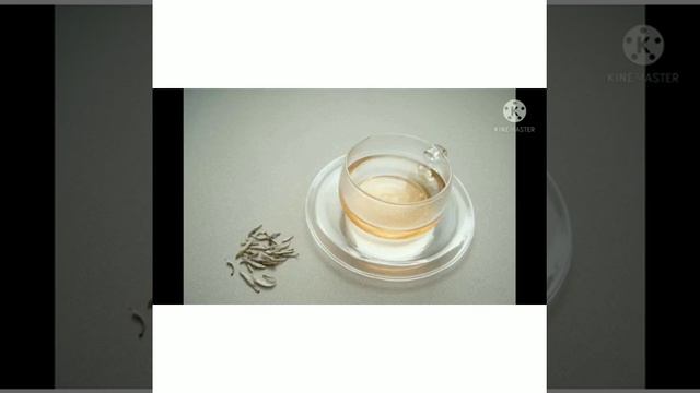 НПК Азимова Эльзира, 10"В" класс смотреть онлайн