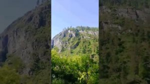 Чемал, Горный Алтай (2)