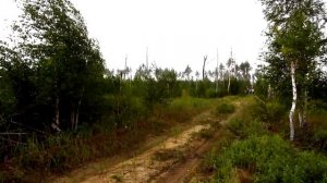 Крестный ход:село Новоклязьминское/Рыло/-Моста.