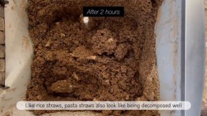 Reencle Food Composter_Experiment(Pasta straws)