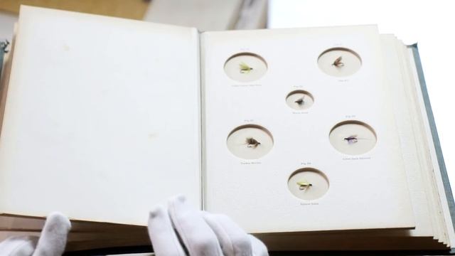 Ловля нахлыстом и книга Альфреда Рональдса. Варвара Миронова смотреть онлайн