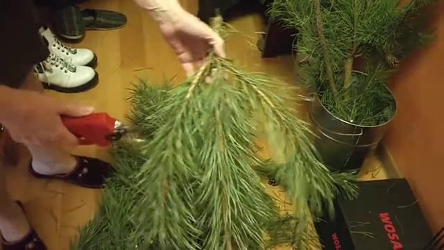 Испытания аккумуляторного секатора Wosai смотреть онлайн