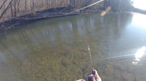 Осенний голец. Рыбалка на Сахалине.