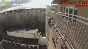 Брат падает с балкона